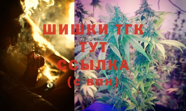 PSILOCYBIN Снежногорск